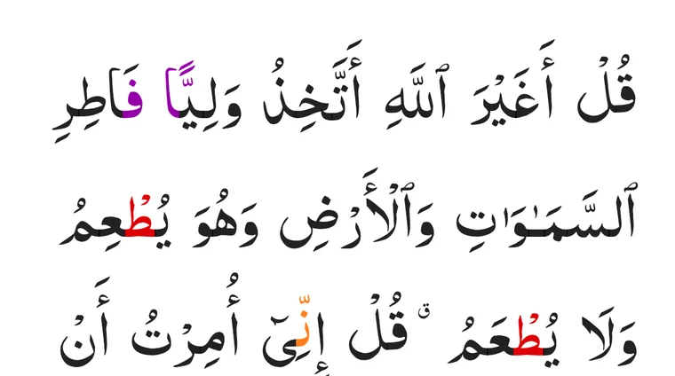 Verses from Surah Al-An&rsquo;am in the Hadi Qur&rsquo;an reader, with tajweed letters highlighted in colour
